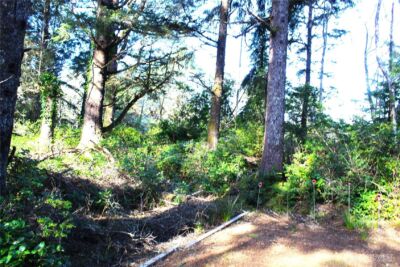 43 Dolphin Lane , Copalis Beach, WA 98535 - Photo 25