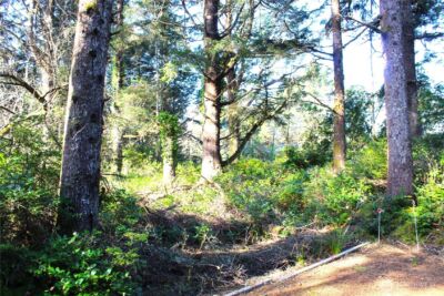 43 Dolphin Lane , Copalis Beach, WA 98535 - Photo 26