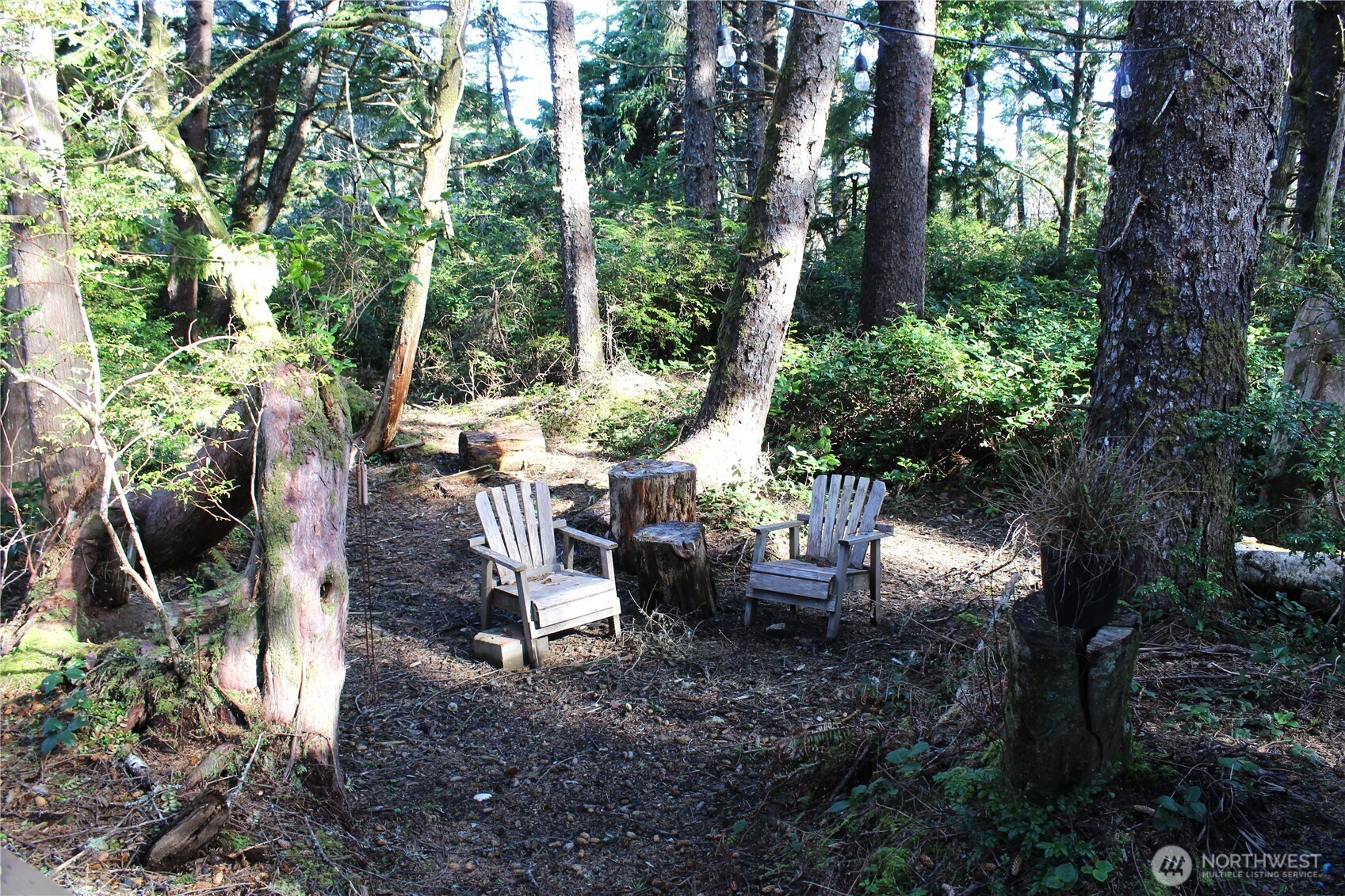 43 Dolphin Lane , Copalis Beach, WA 98535