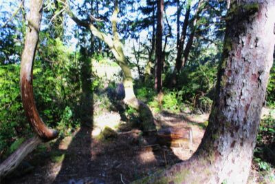 43 Dolphin Lane , Copalis Beach, WA 98535 - Photo 28