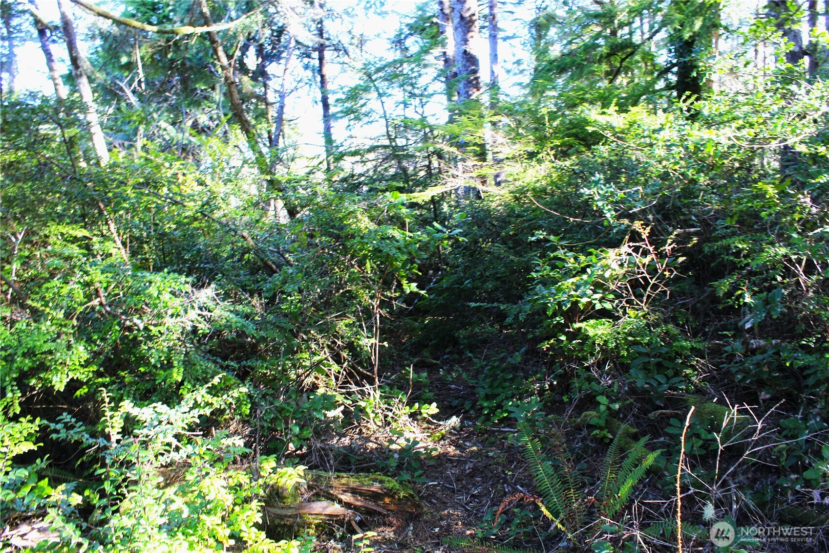 43 Dolphin Lane , Copalis Beach, WA 98535