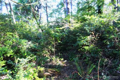 43 Dolphin Lane , Copalis Beach, WA 98535 - Photo 29