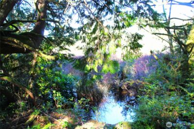 43 Dolphin Lane , Copalis Beach, WA 98535 - Photo 30