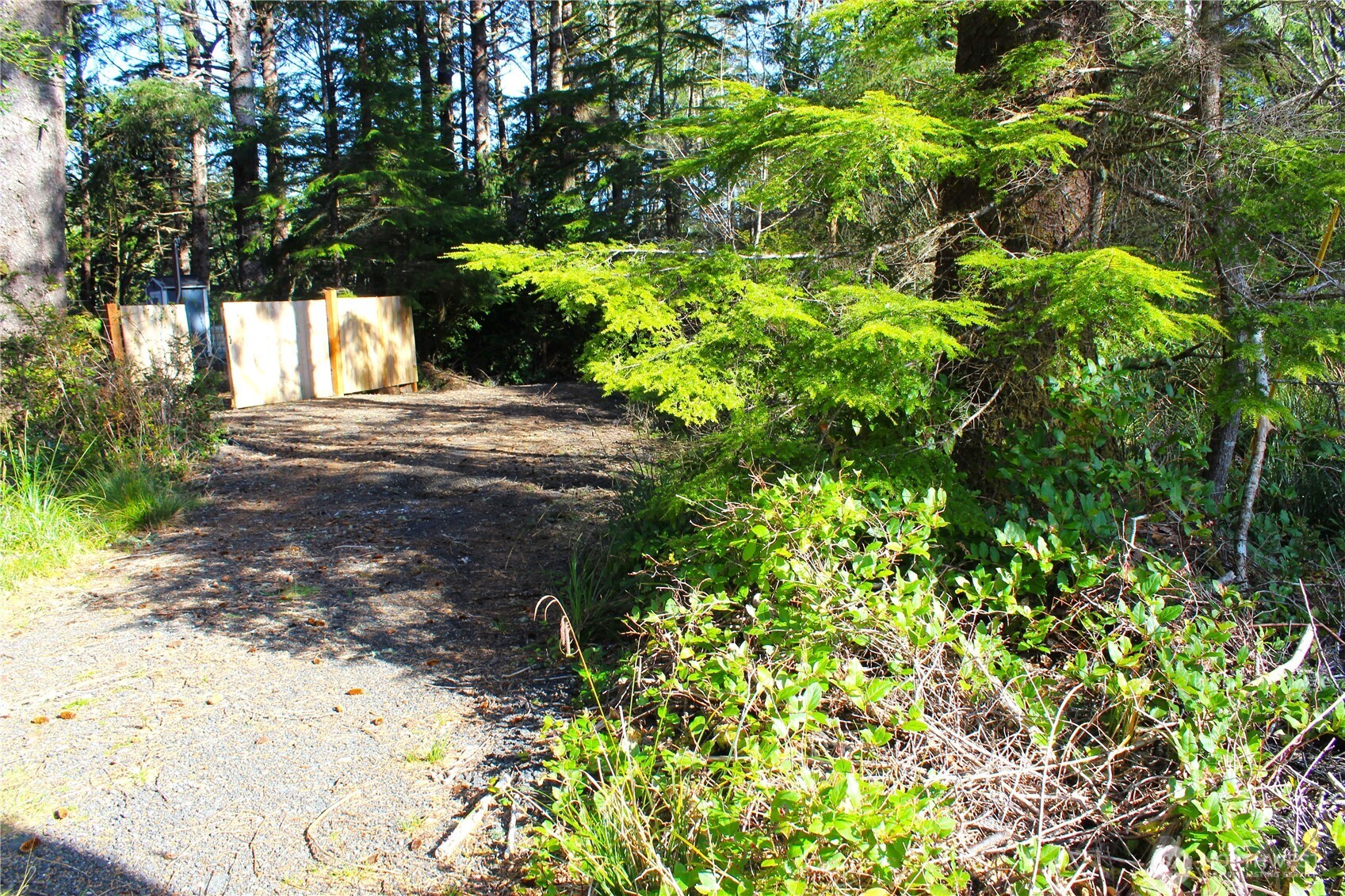 43 Dolphin Lane , Copalis Beach, WA 98535