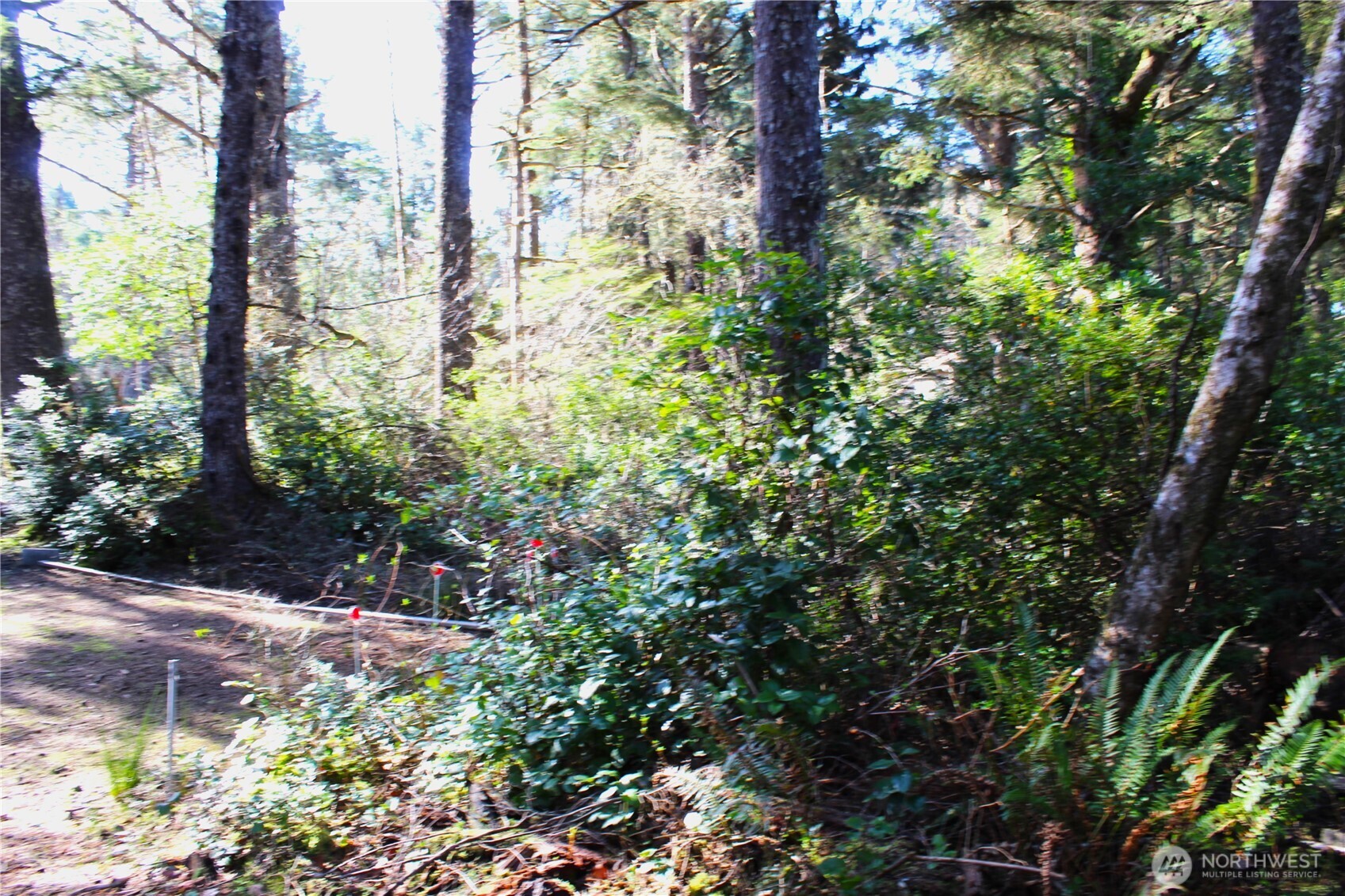 43 Dolphin Lane , Copalis Beach, WA 98535