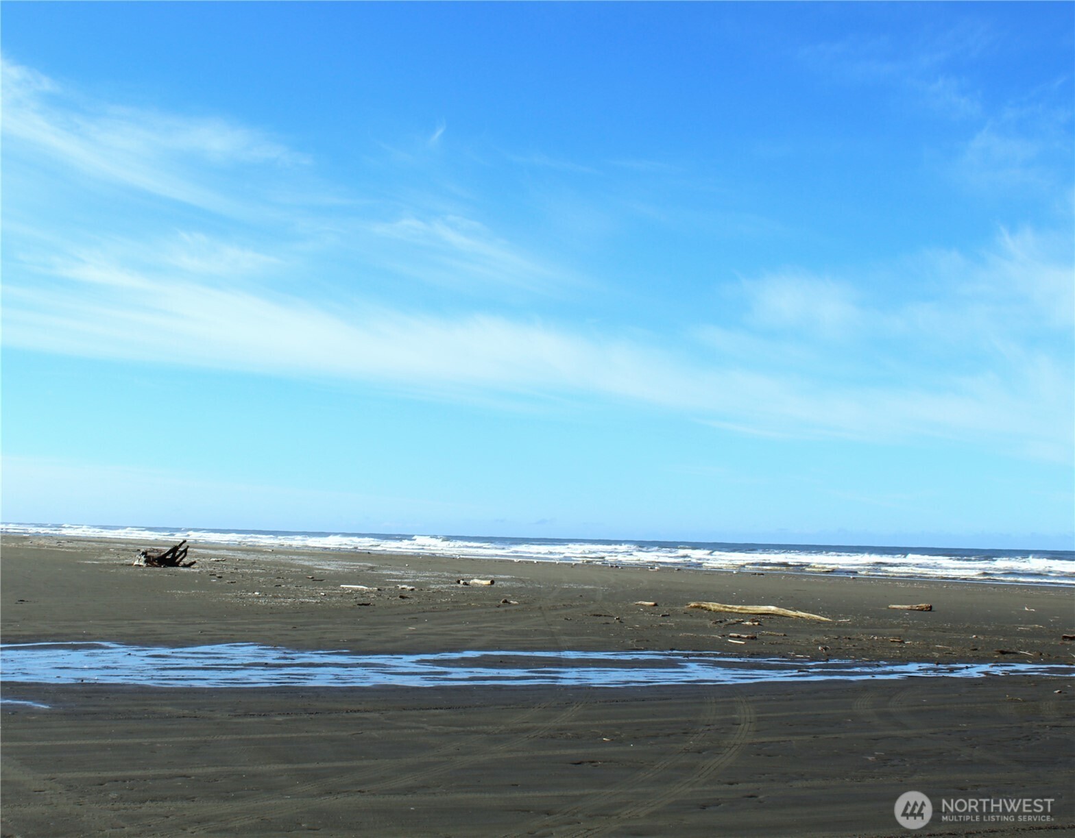 43 Dolphin Lane , Copalis Beach, WA 98535