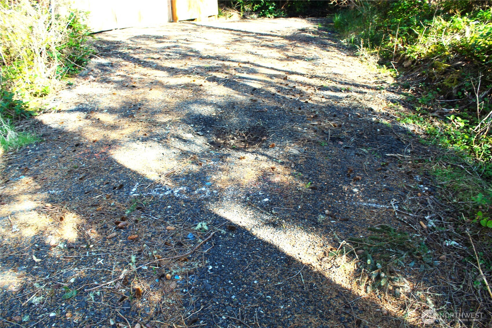 43 Dolphin Lane , Copalis Beach, WA 98535