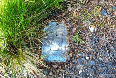 43 Dolphin Lane , Copalis Beach, WA 98535 - Photo 7