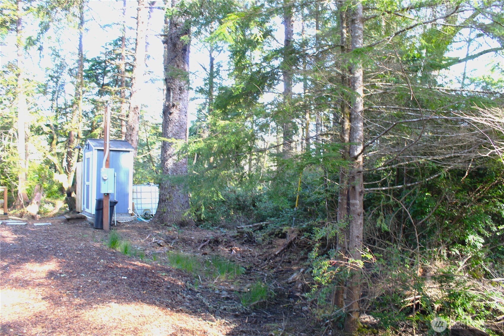 43 Dolphin Lane , Copalis Beach, WA 98535