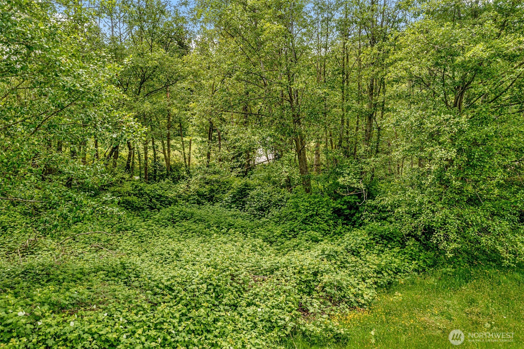 0 48th Avenue NW, Stanwood, WA 98292