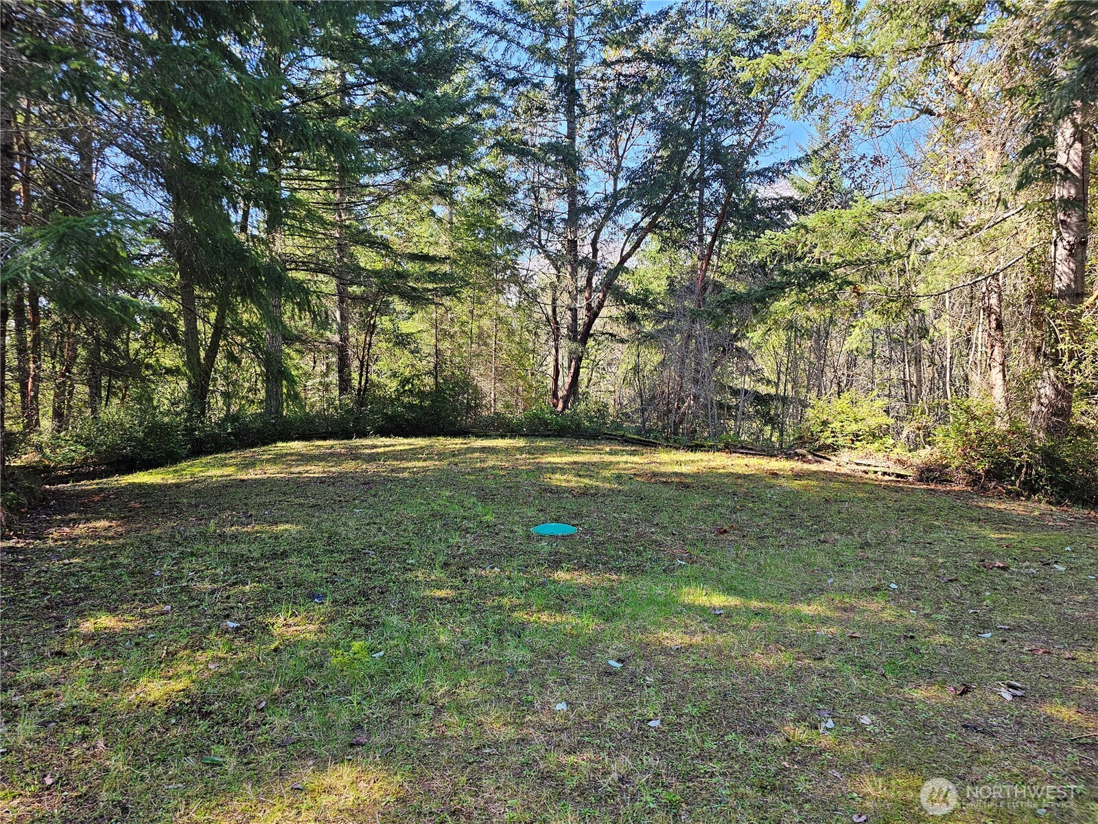 753 Jupiter Loop , Brinnon, WA 98320