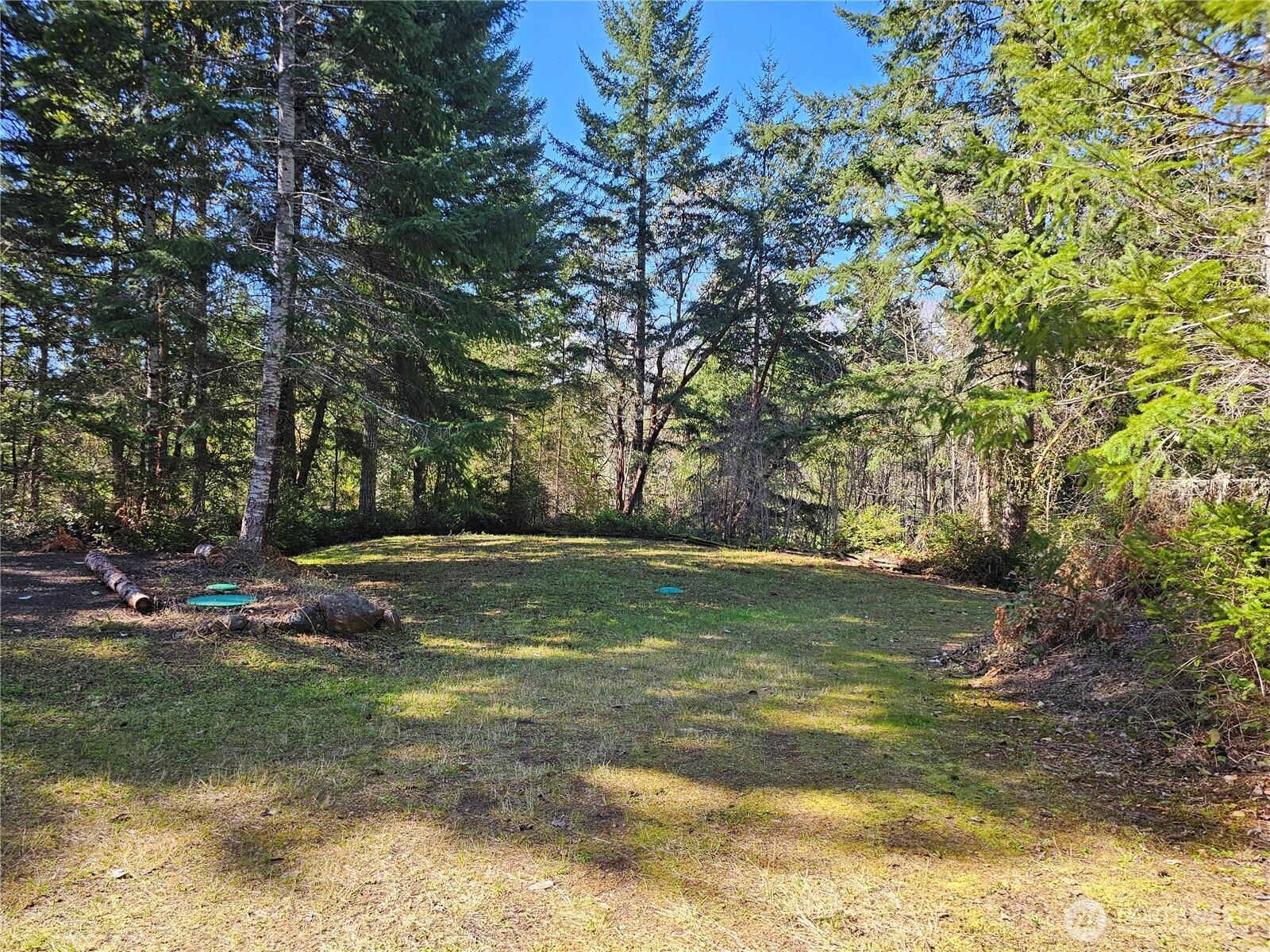 753 Jupiter Loop , Brinnon, WA 98320