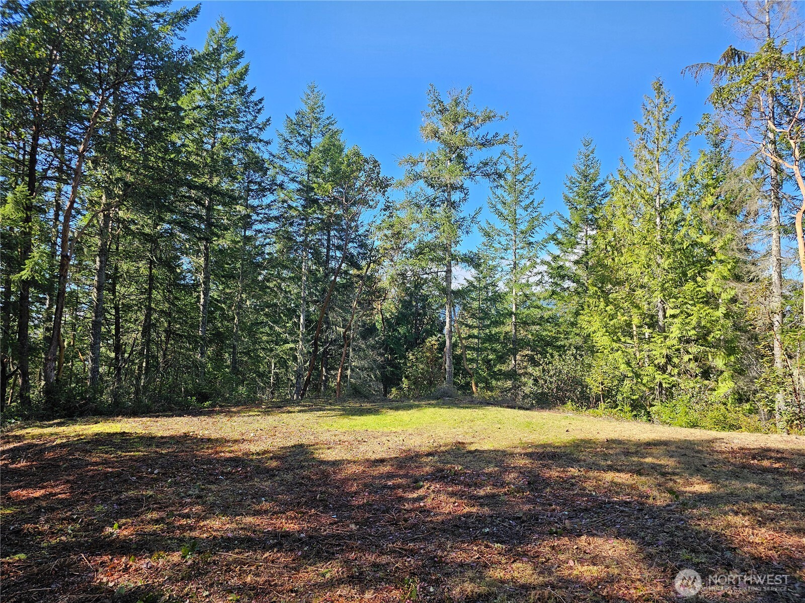 753 Jupiter Loop , Brinnon, WA 98320