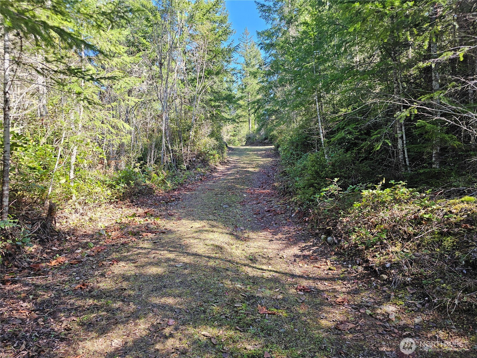 753 Jupiter Loop , Brinnon, WA 98320