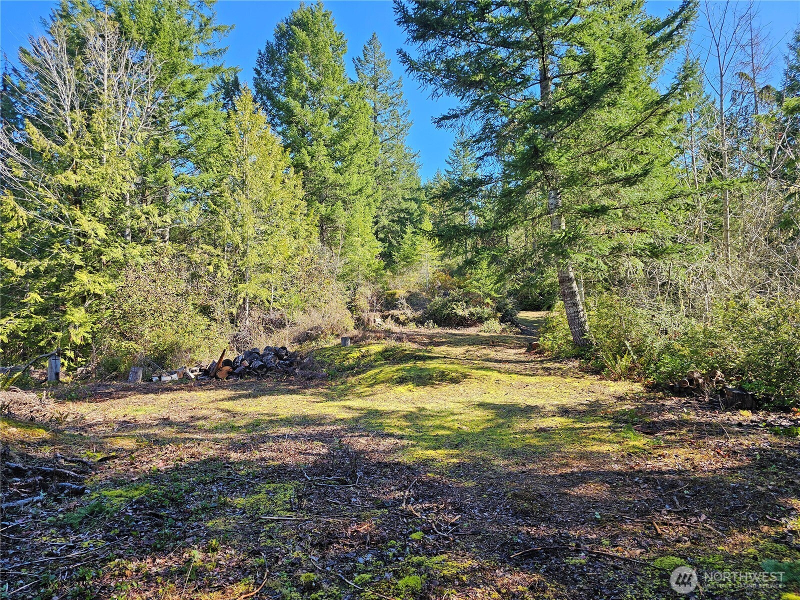 753 Jupiter Loop , Brinnon, WA 98320