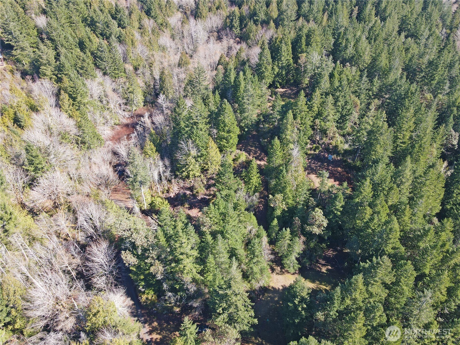 753 Jupiter Loop , Brinnon, WA 98320