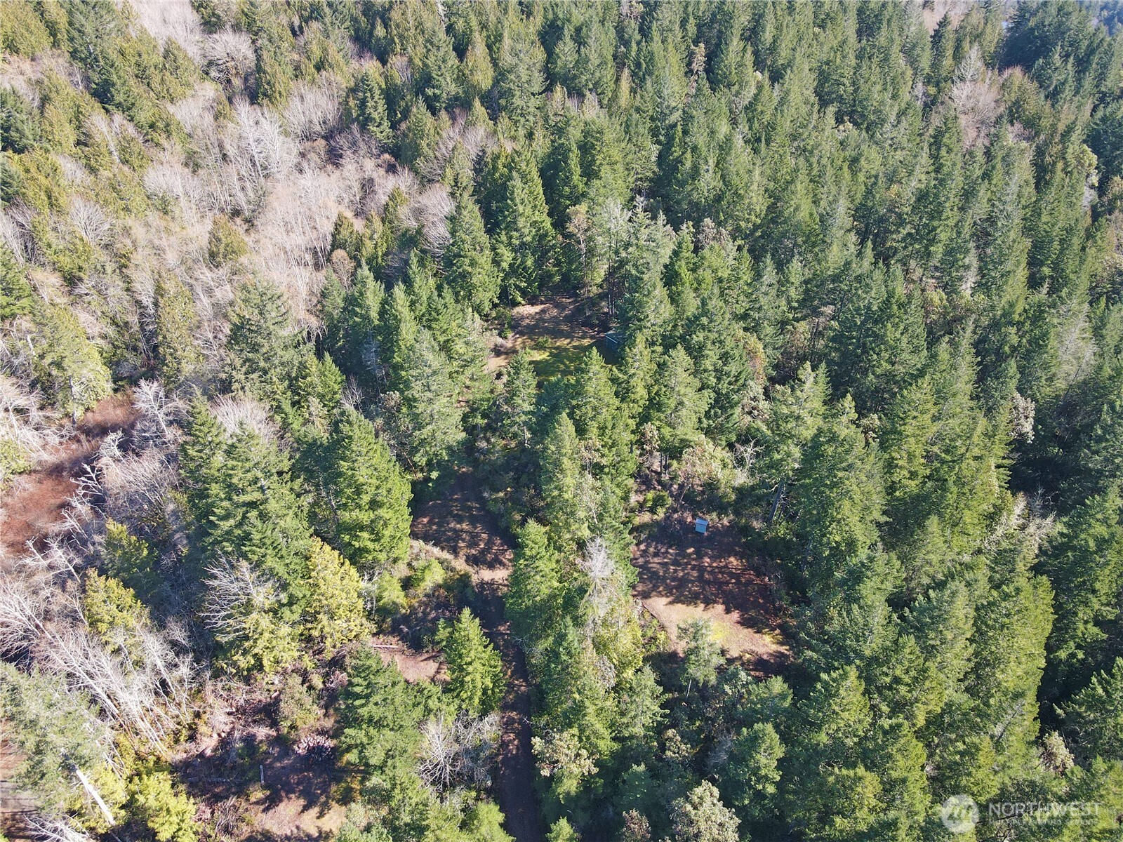 753 Jupiter Loop , Brinnon, WA 98320