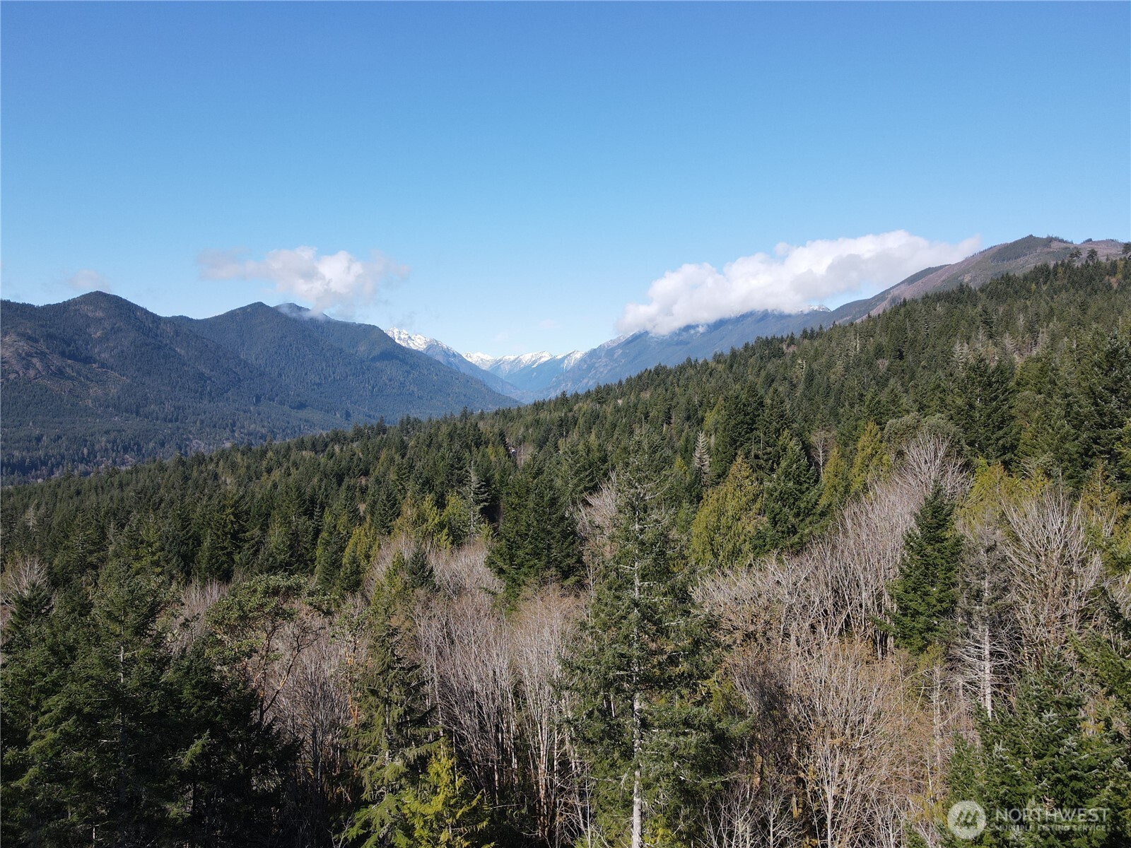 753 Jupiter Loop , Brinnon, WA 98320