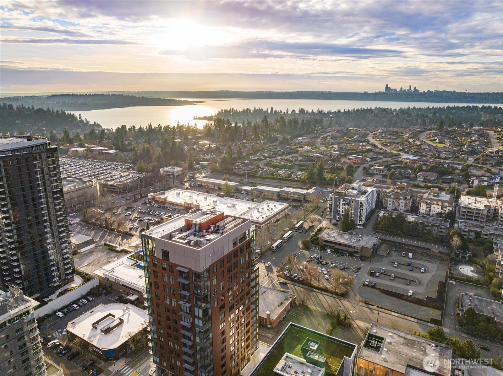 10232 NE 10th Street #1607, Bellevue, WA 98004