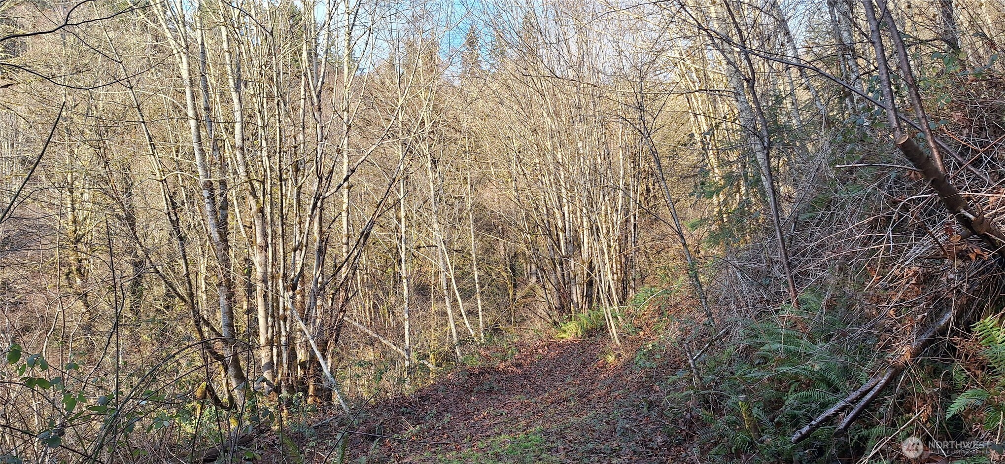 1586 King Road , Winlock, WA 98596