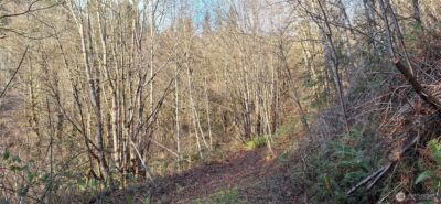 1586 King Road , Winlock, WA 98596 - Photo 11