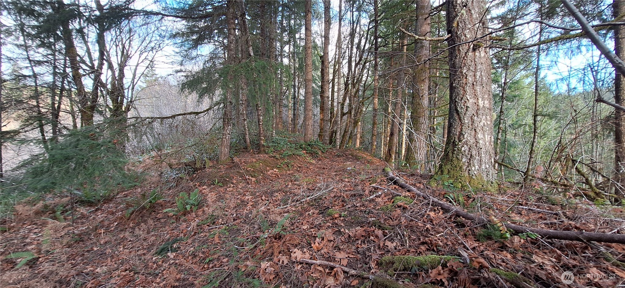 1586 King Road , Winlock, WA 98596