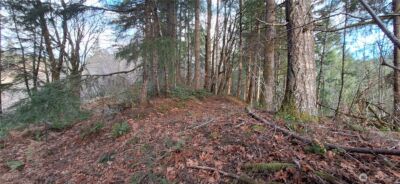 1586 King Road , Winlock, WA 98596 - Photo 5