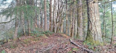 1586 King Road , Winlock, WA 98596 - Photo 6