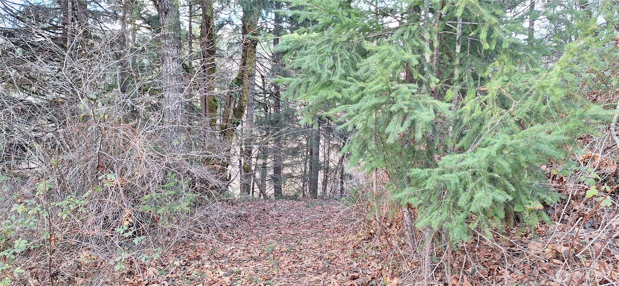 1586 King Road , Winlock, WA 98596