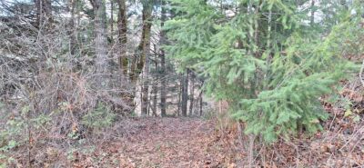 1586 King Road , Winlock, WA 98596 - Photo 7