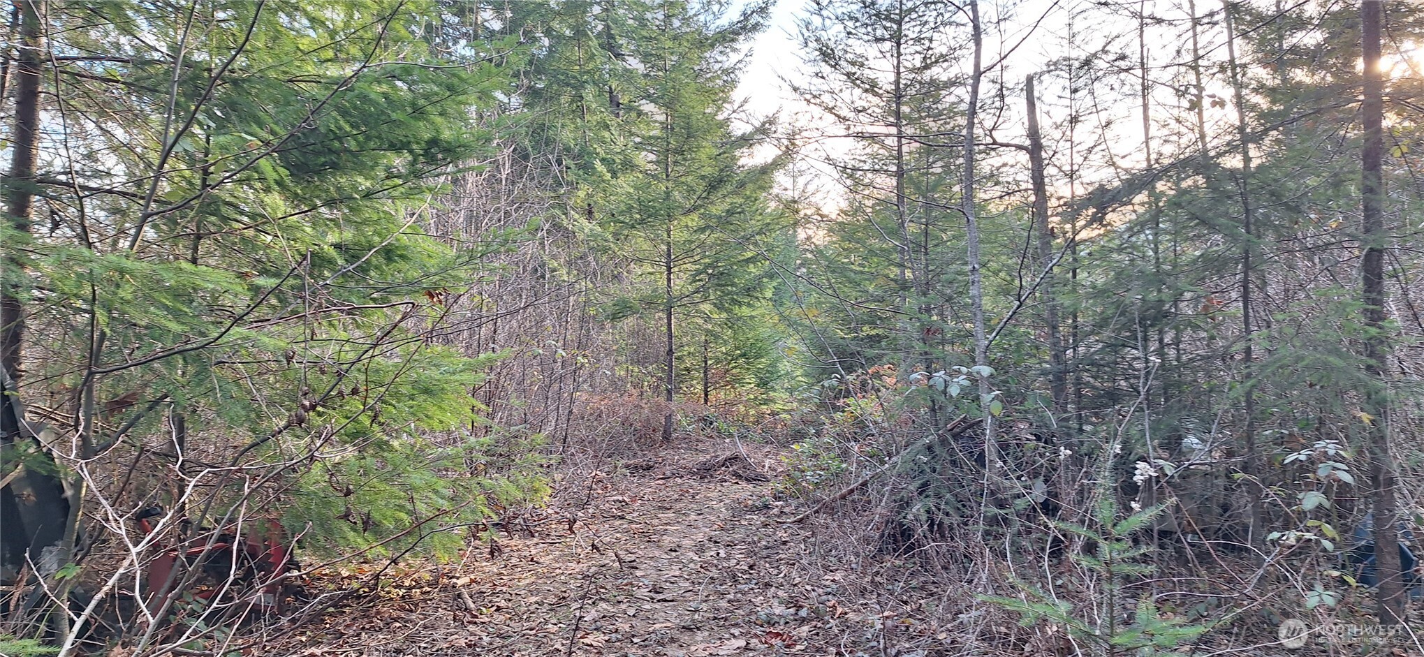 1586 King Road , Winlock, WA 98596