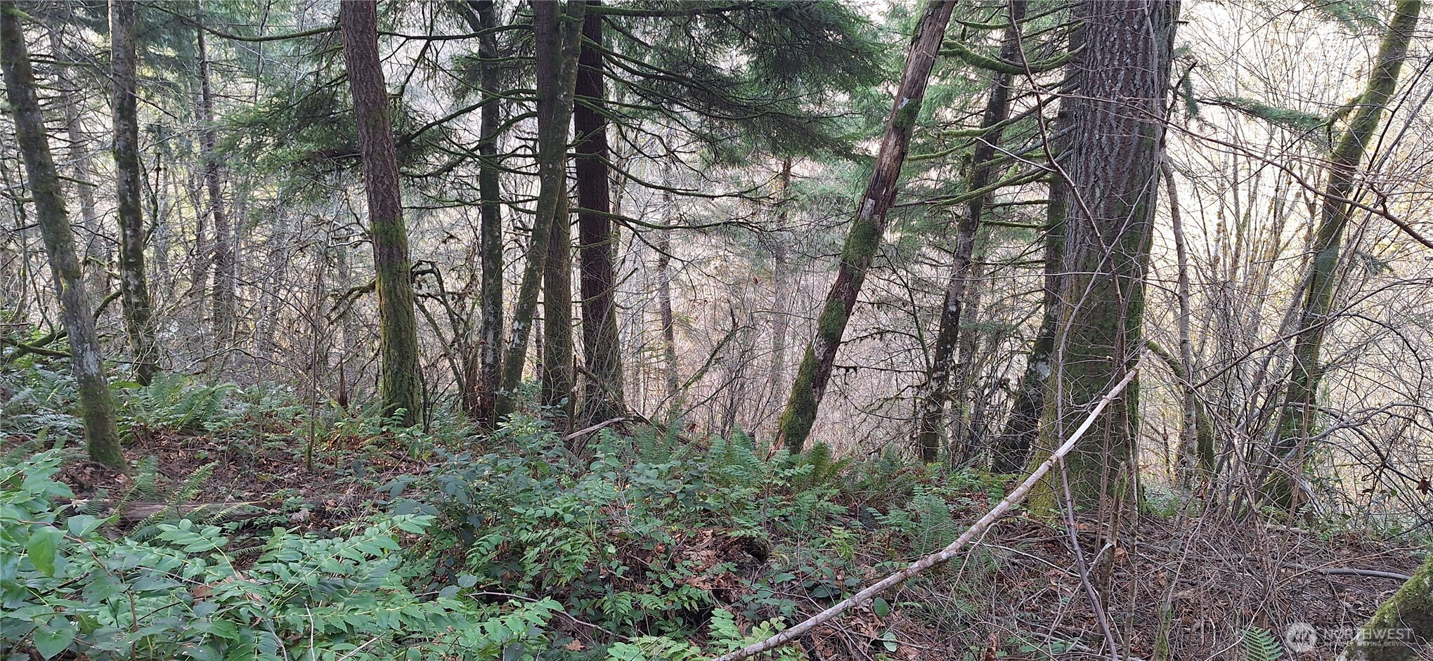 1586 King Road , Winlock, WA 98596