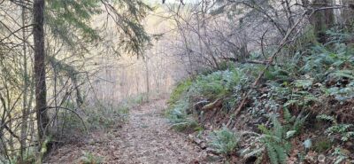 1586 King Road , Winlock, WA 98596 - Photo 10