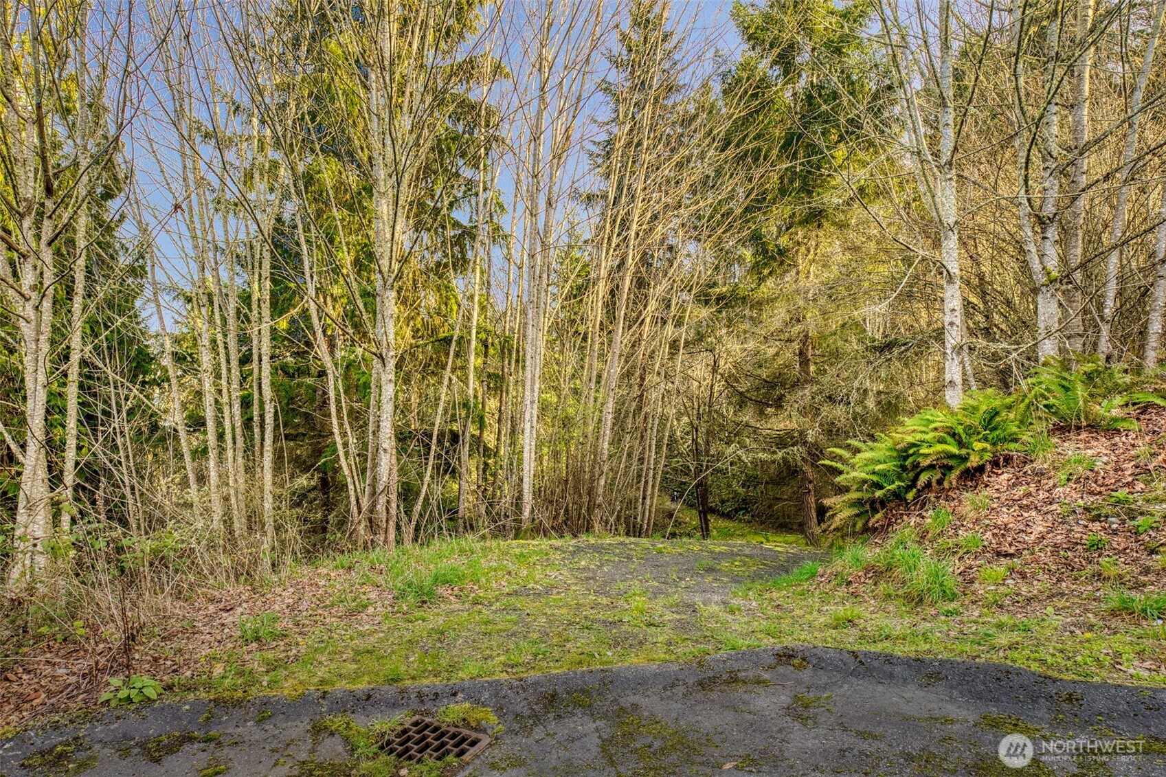 2401 NE Solar View Court , Poulsbo, WA 98345