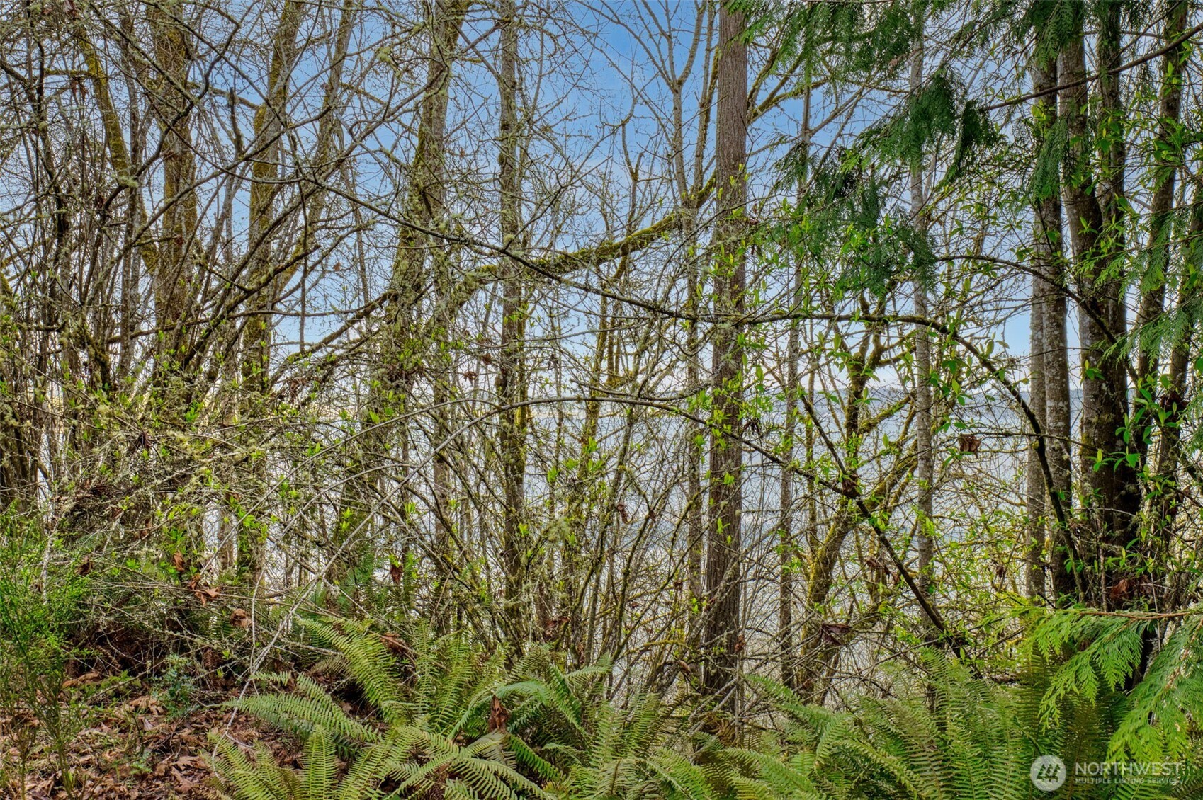 2401 NE Solar View Court , Poulsbo, WA 98345
