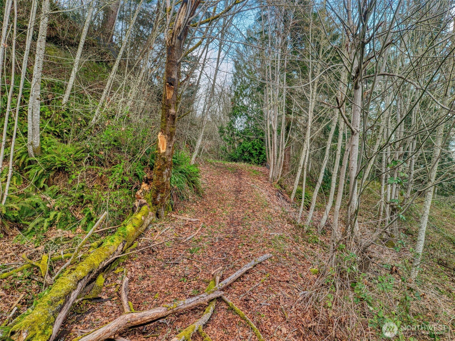 2401 NE Solar View Court , Poulsbo, WA 98345
