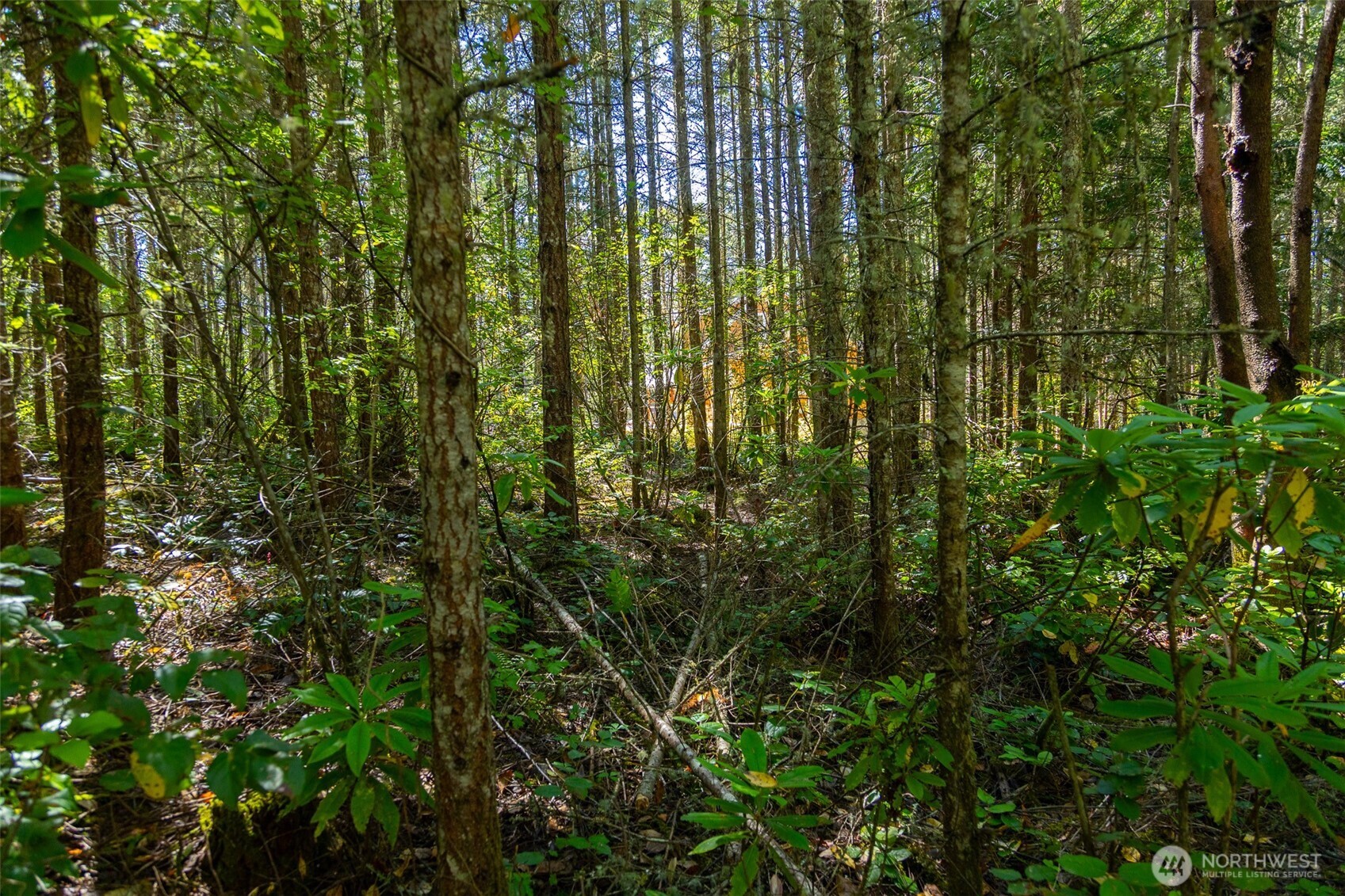 0 45th and Cleveland , Port Townsend, WA 98368