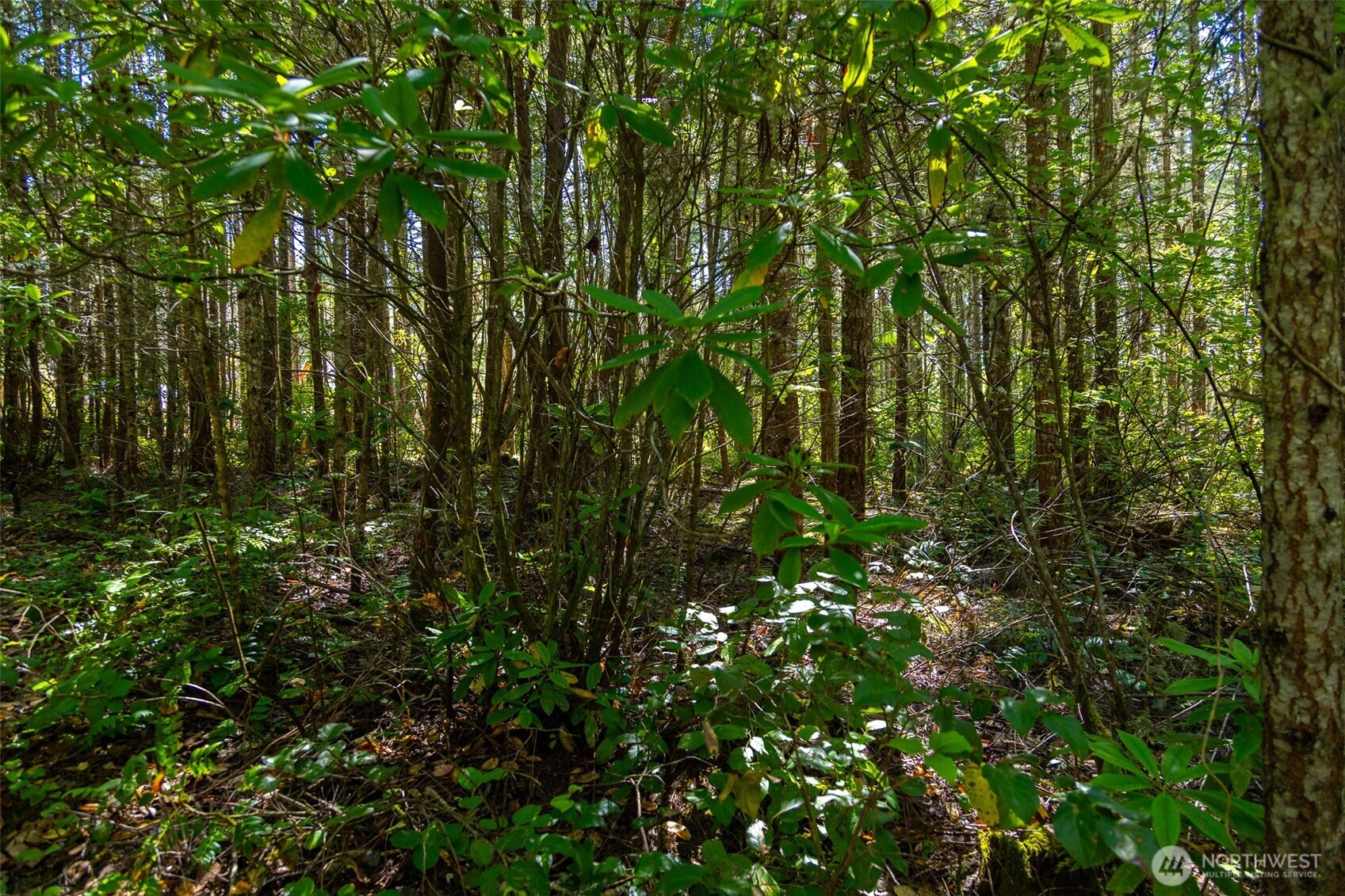 0 45th and Cleveland , Port Townsend, WA 98368