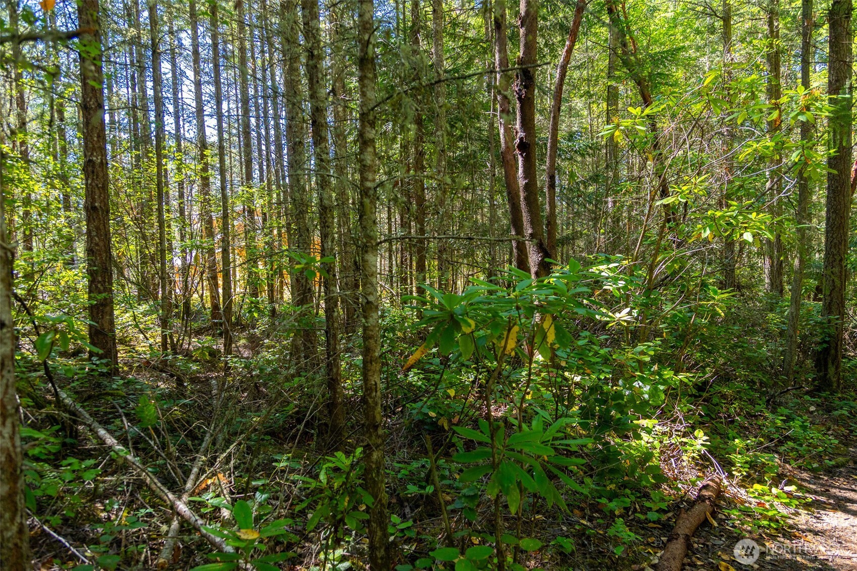 0 45th and Cleveland , Port Townsend, WA 98368