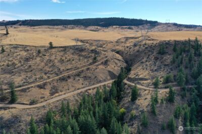 0 Deer Creek Drive , Waterville, WA 98858 - Photo 11
