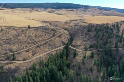 0 Deer Creek Drive , Waterville, WA 98858 - Photo 9