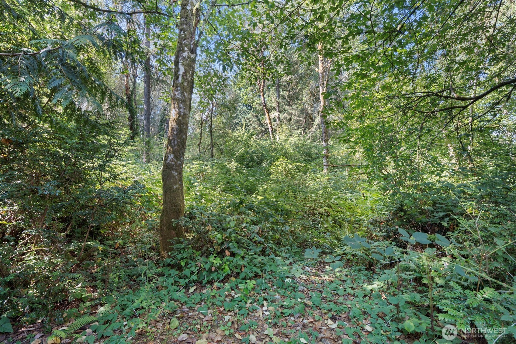 18220 70th Street Ct SW, Longbranch, WA 98351