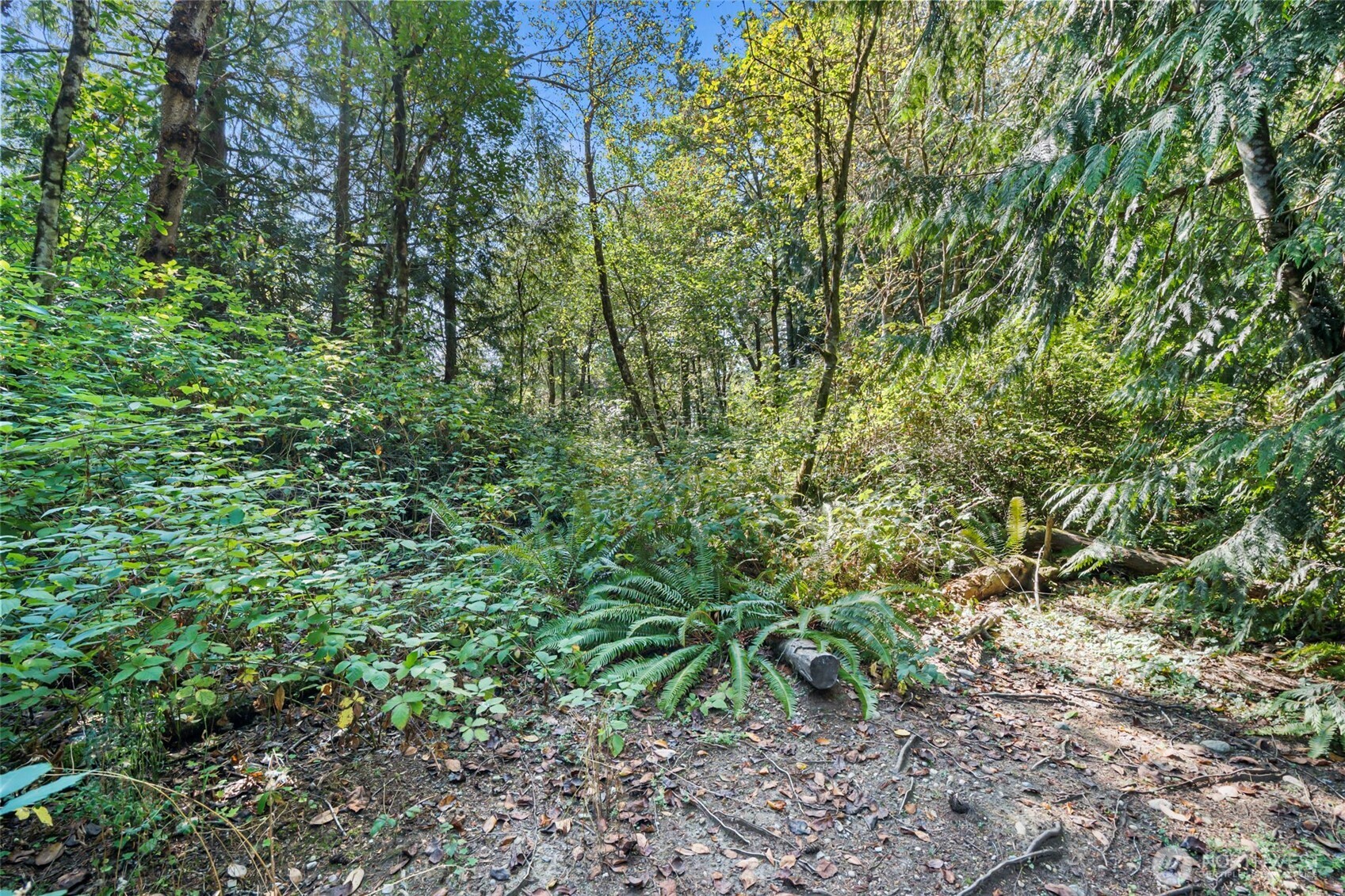 18220 70th Street Ct SW, Longbranch, WA 98351