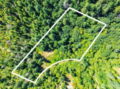 17528 425TH Avenue SE, North Bend, WA 98045