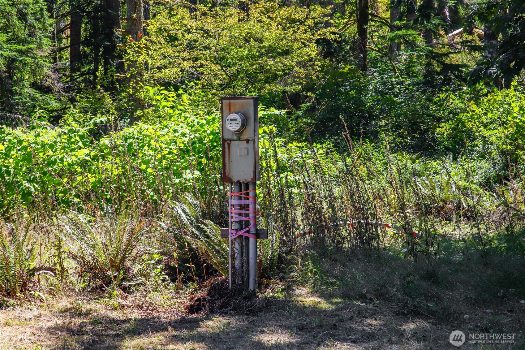 17528 425TH Avenue SE, North Bend, WA 98045