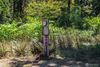 17528 425TH Avenue SE, North Bend, WA 98045 - Photo 11