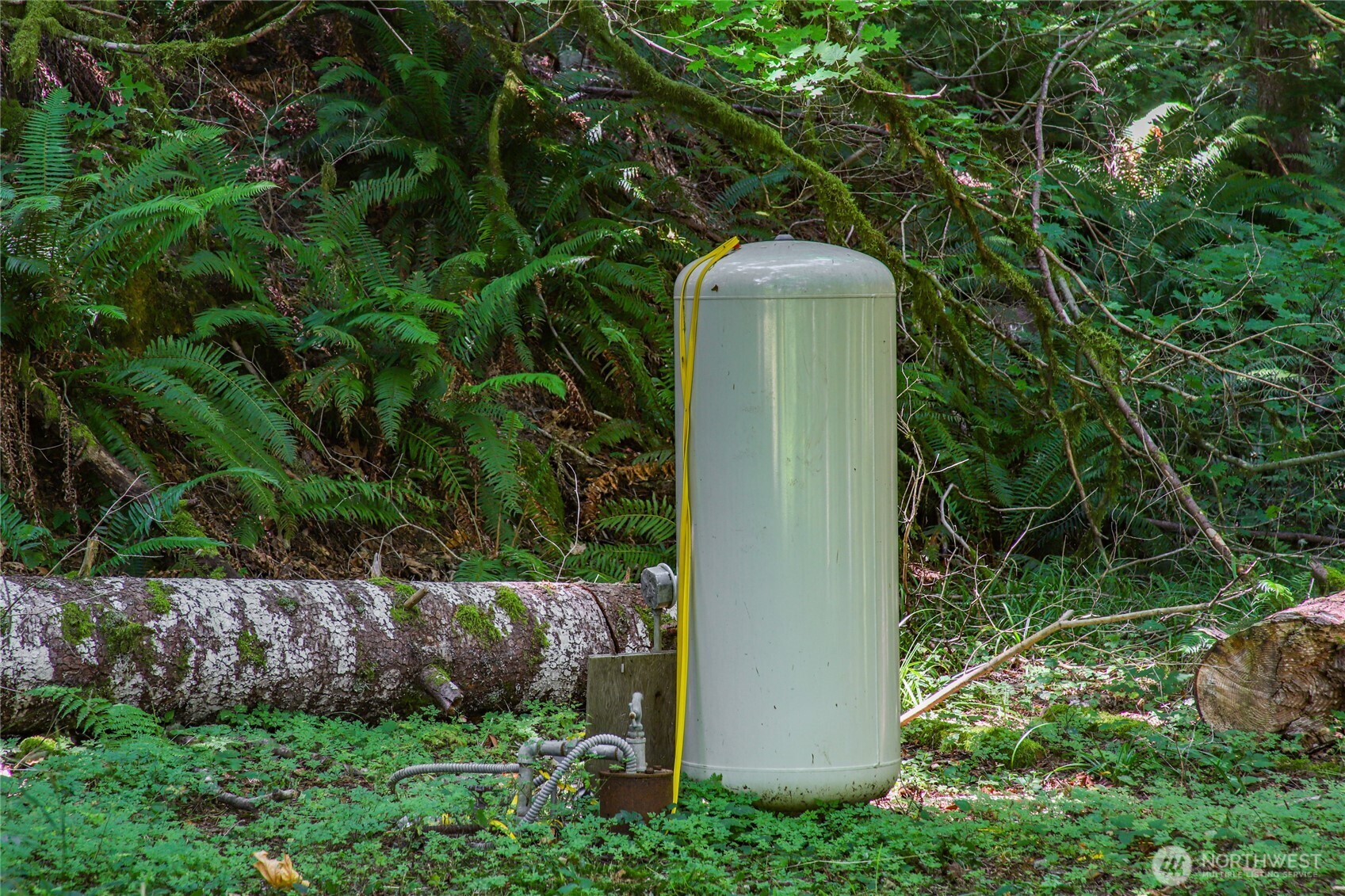 17528 425TH Avenue SE, North Bend, WA 98045