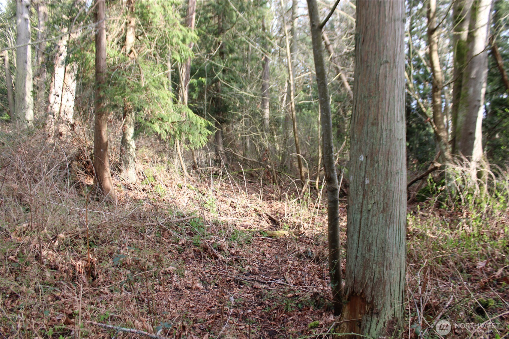 1 Semiahmoo Parkway , Blaine, WA 98230