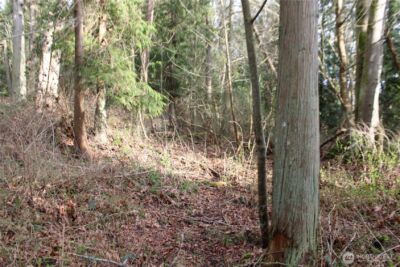 1 Semiahmoo Parkway , Blaine, WA 98230 - Photo 13