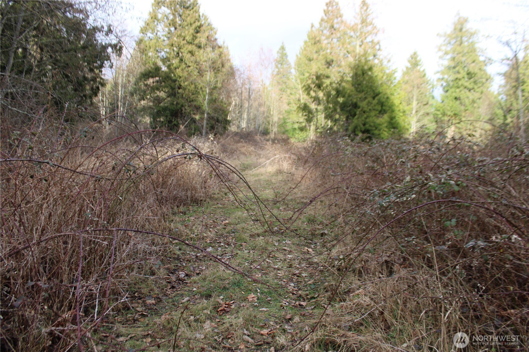 1 Semiahmoo Parkway , Blaine, WA 98230